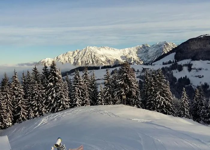 Scheffau Appartement *