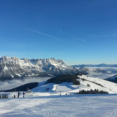 公寓 Scheffau 凯撒山麓舍福